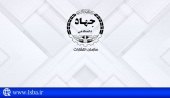 تمهیدات جدید برای حمایت از منتخبان جشنواره پایاننامه سال/ پایاننامههای برگزیده چاپ میشوند