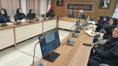 بررسی علمی سیره رضوی در تقویت انسجام اجتماعی جامعه شیعه